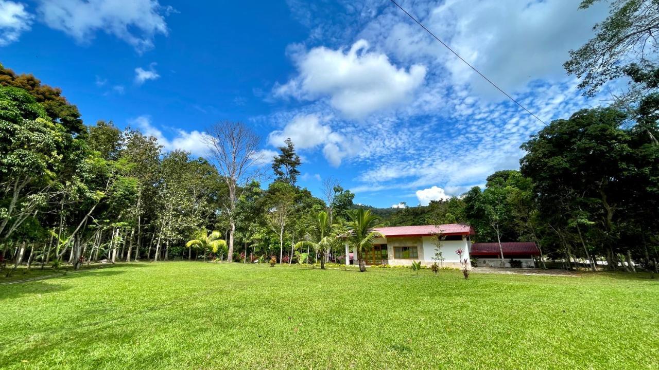Sebastiana Tarapoto
