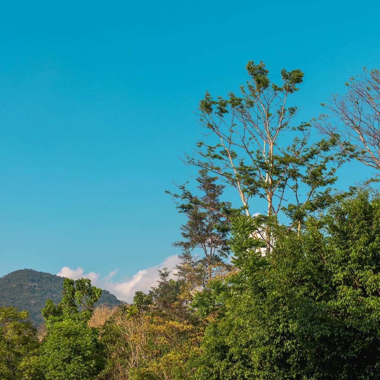 Sebastiana Lodge Tarapoto