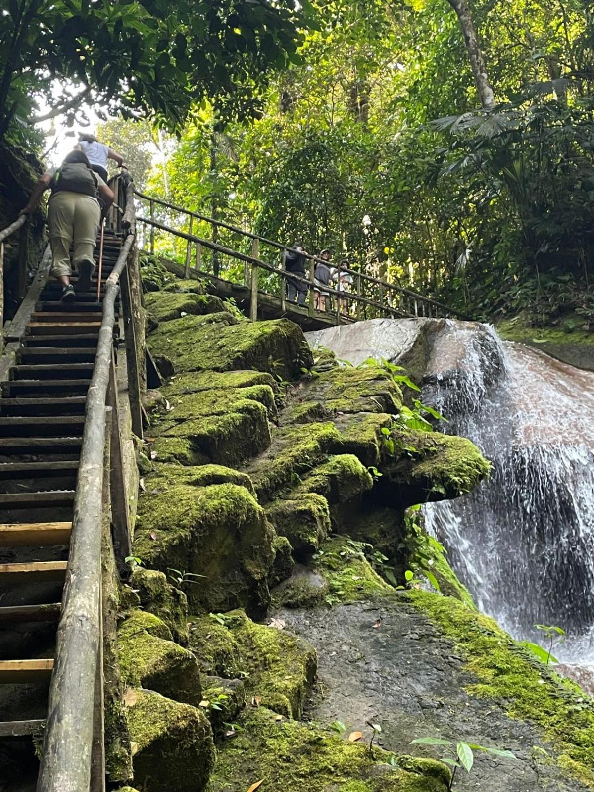 Lodge Sebastiana Tarapoto
